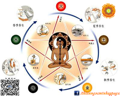 Dưỡng sinh - phòng bệnh hơn chữa bệnh