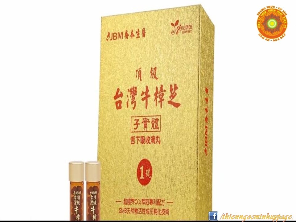 Nấm Ngưu chương chi – Khắc tinh của bệnh Gan
